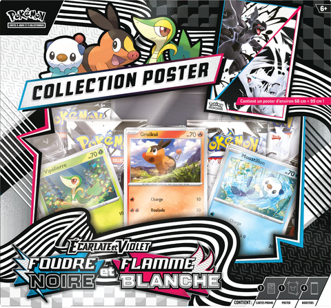POKEMON UNOVA POSTER COLLECTION