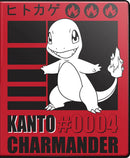 9 POCKET POKEMON CHARMANDER PORTFOLIO