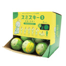 SMISKI Strap Accessory - Series 1